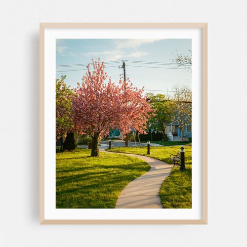 Kiwanis Park, Cape May 02