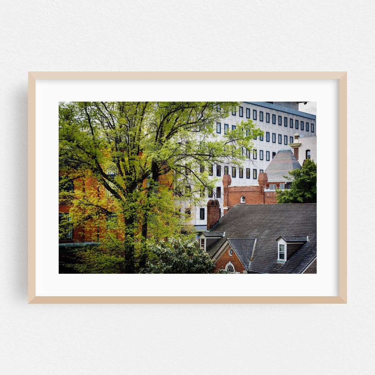 Tree Lined – image 1 of 6