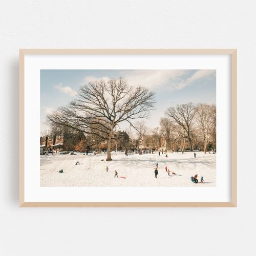 Sledding at Clark Park, Philadelphia 01