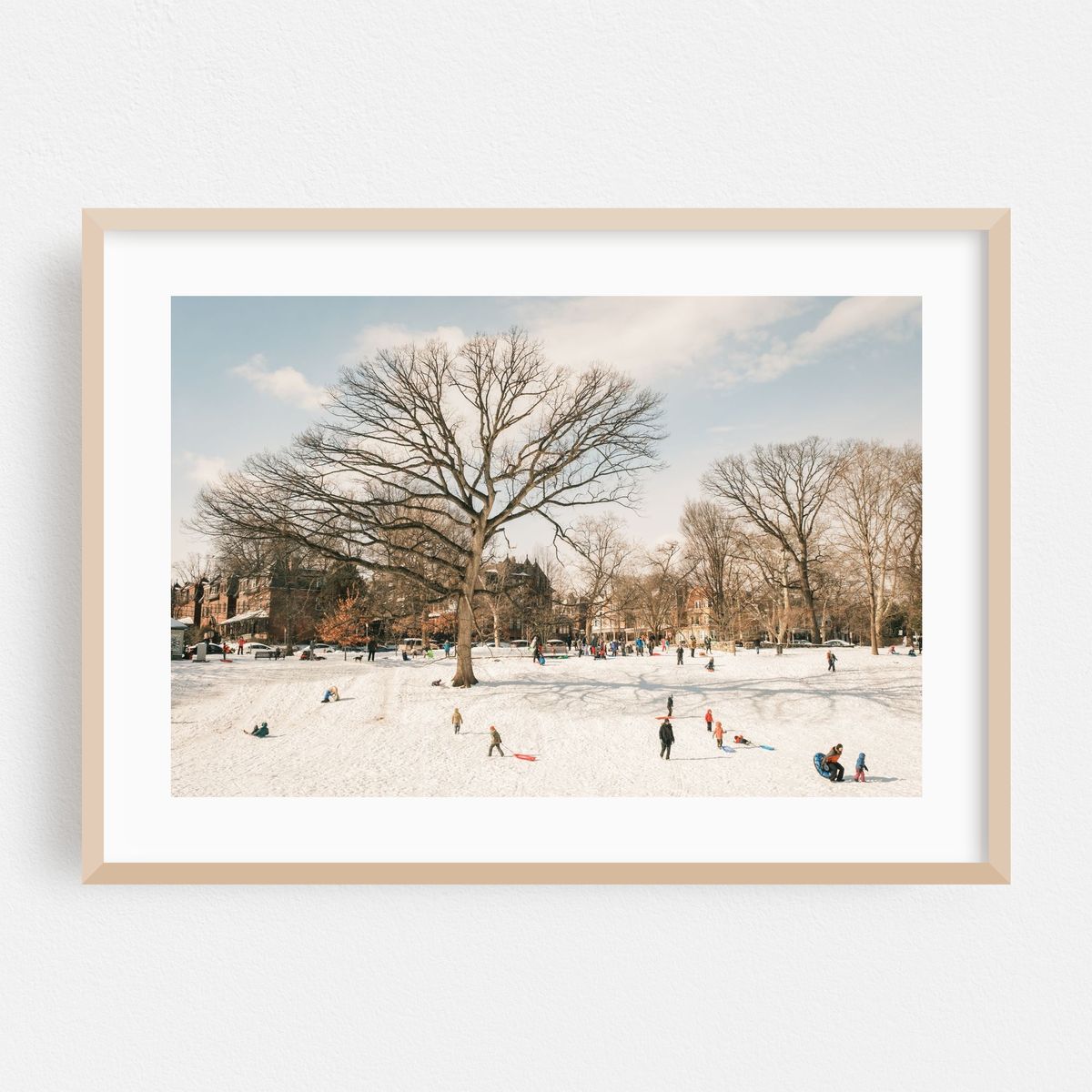 Sledding at Clark Park, Philadelphia 01 – image 1 of 6
