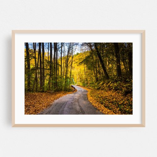 Autumn in Baltimore County