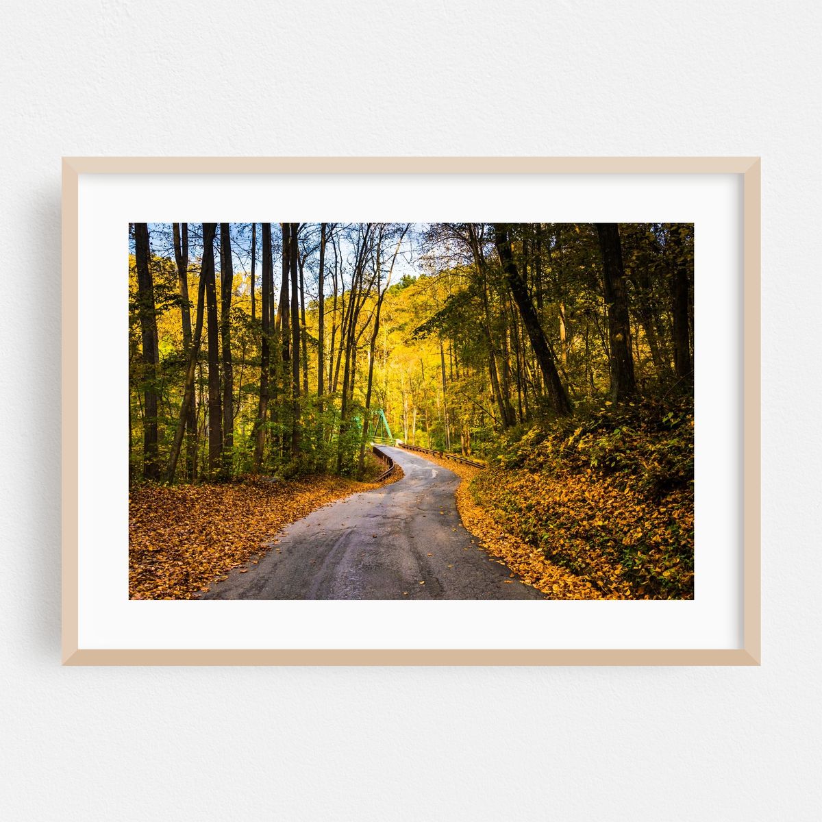 Autumn in Baltimore County – image 1 of 6
