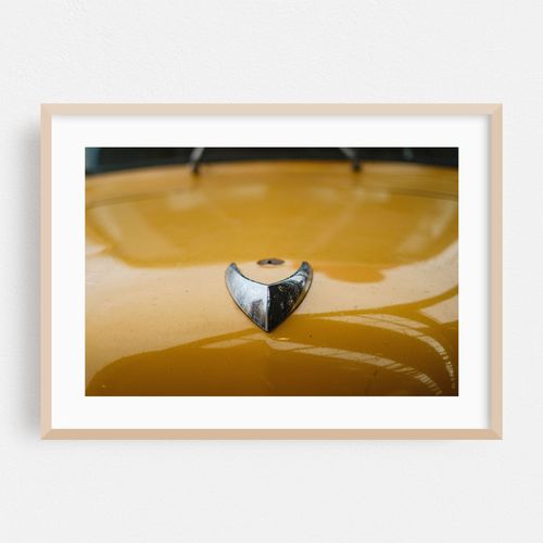 Hood Ornament in Yellow
