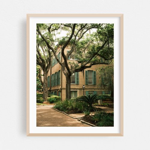 College of Charleston
