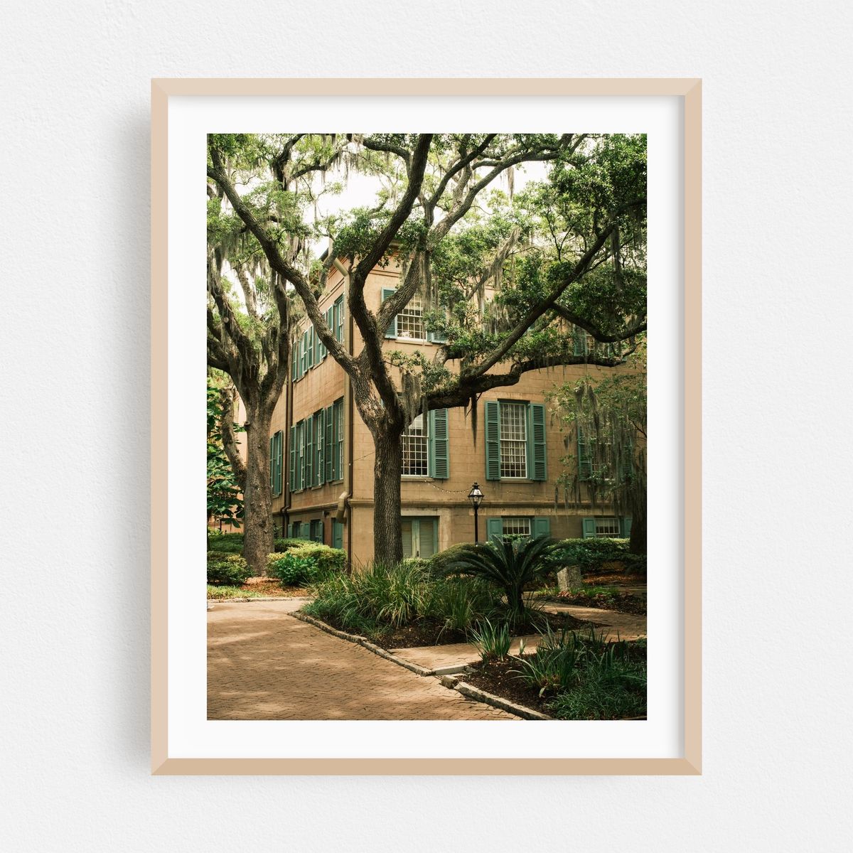 College of Charleston – image 1 of 3