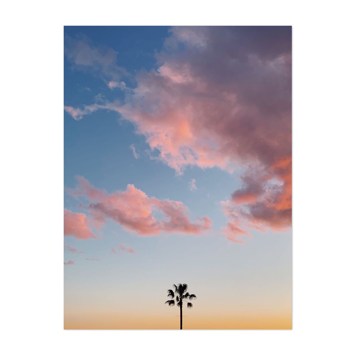 One Palm – image 1 of 2
