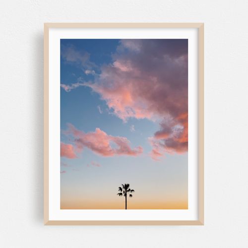 One Palm