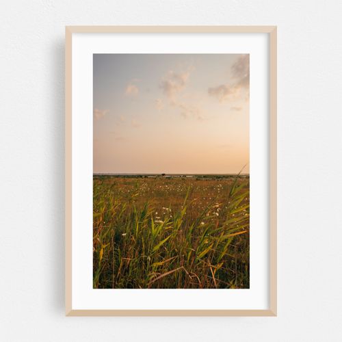 Green Island 03