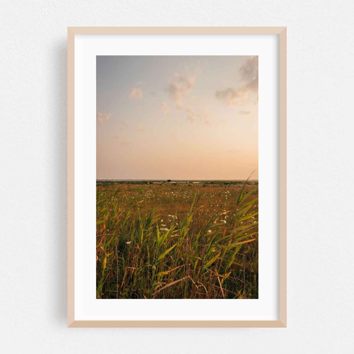 Green Island 03 – image 1 of 16