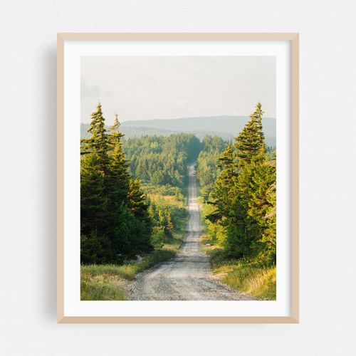 Road in Dolly Sods 03