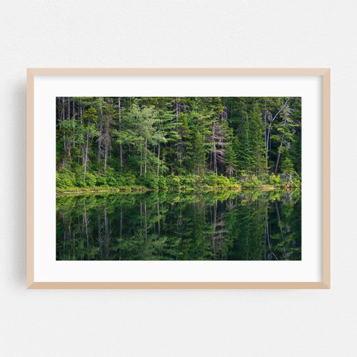 Falls Pond at Rocky Gorge