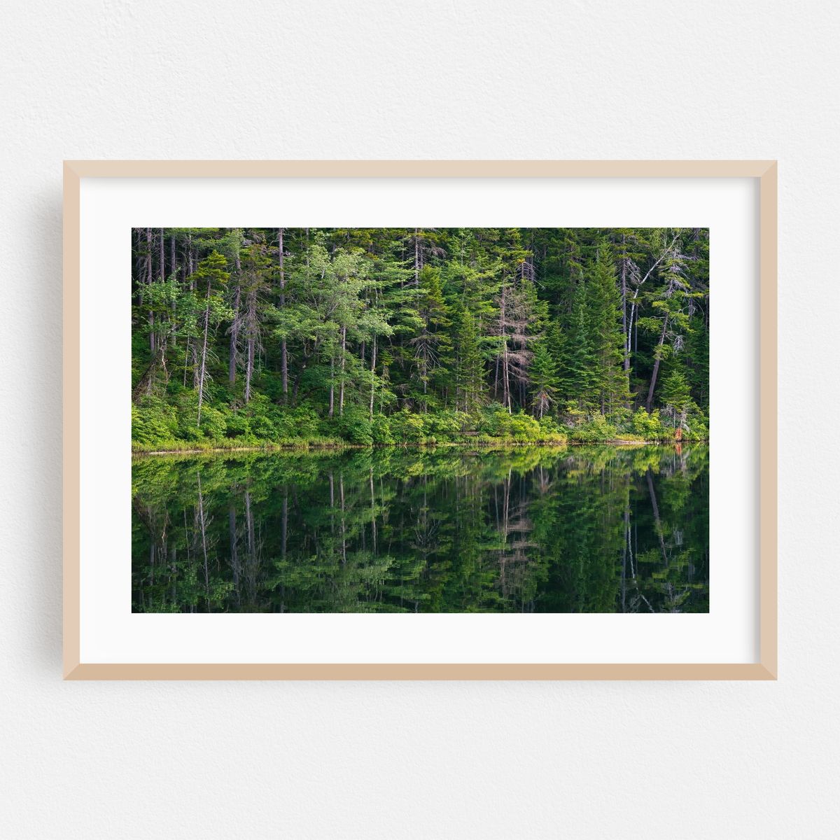 Falls Pond at Rocky Gorge – image 1 of 6