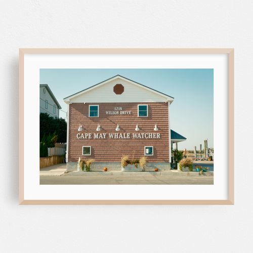 Cape May Whale Watcher
