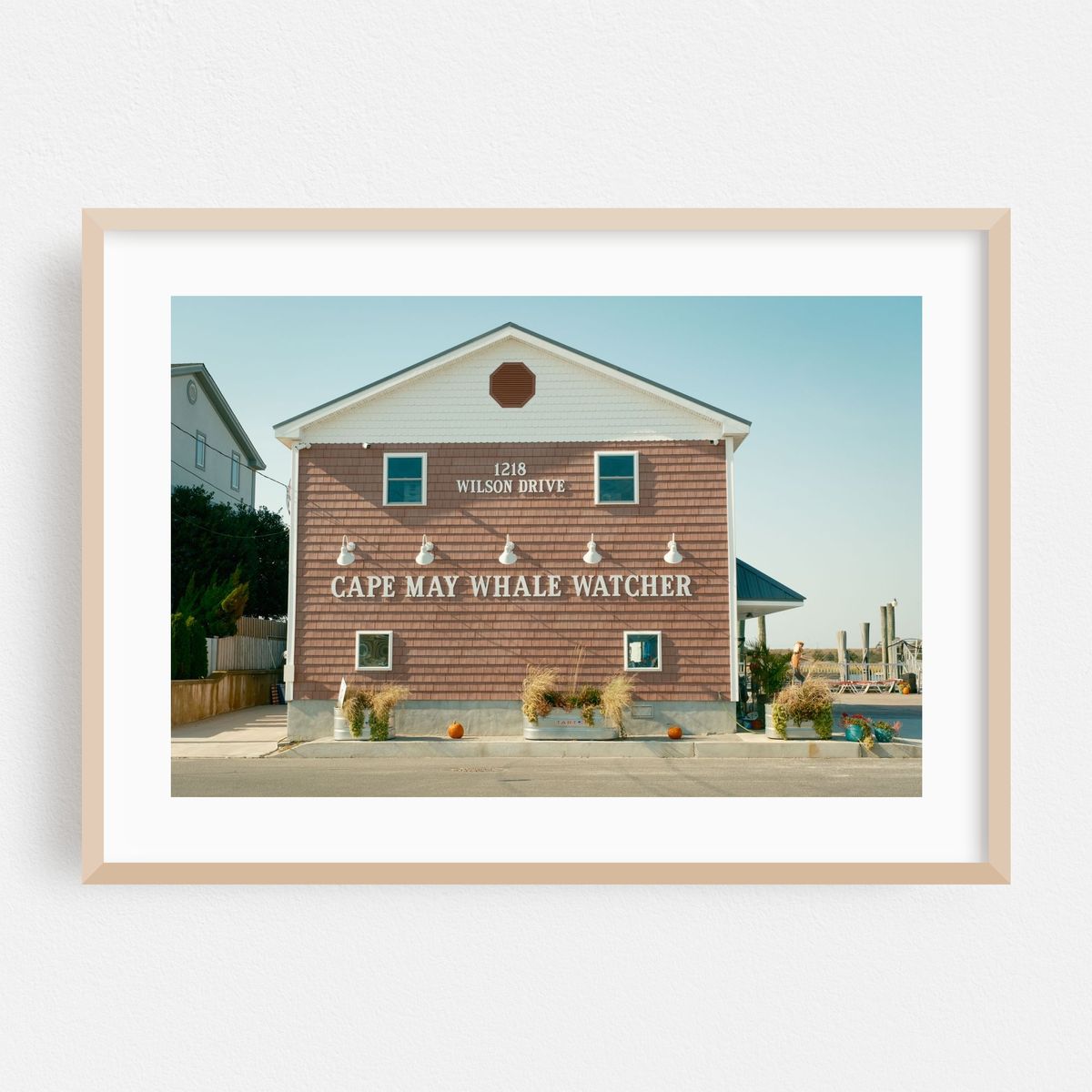 Cape May Whale Watcher – image 1 of 6