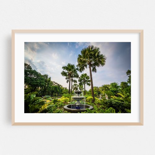 Palms at Fort Santiago