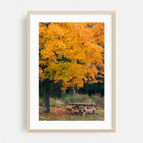 Minnewaska Autumn 01