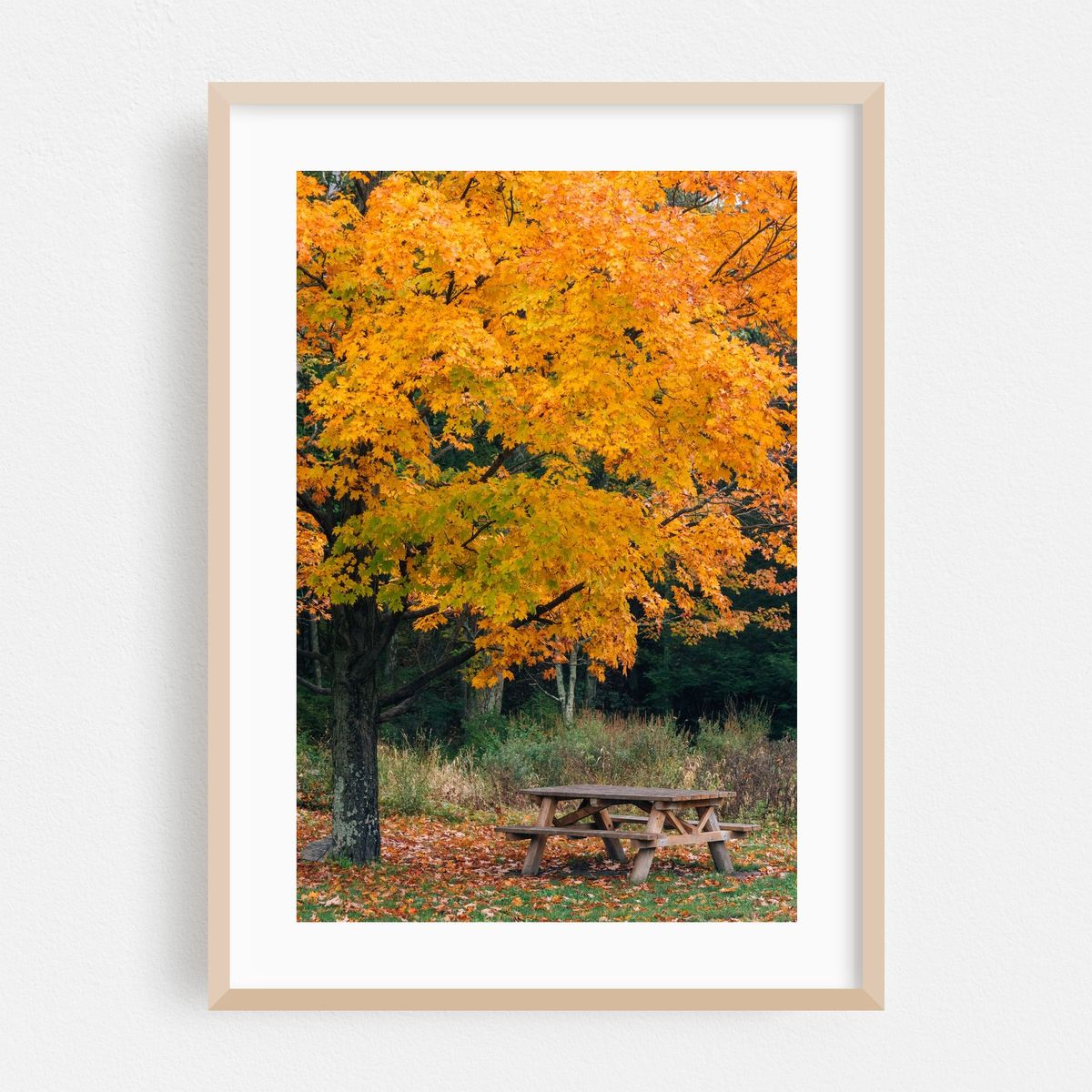 Minnewaska Autumn 01 – image 1 of 16