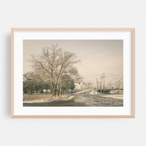 After the Snow, North Tonawanda 02
