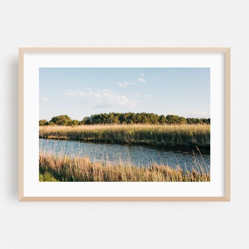 Chincoteague Marsh 04
