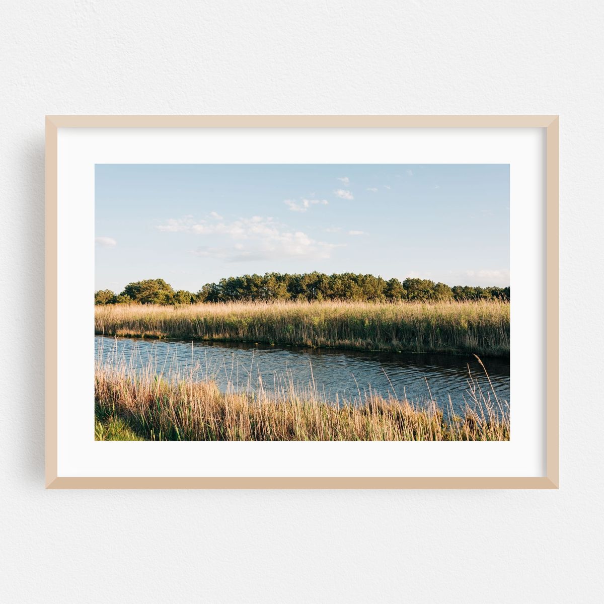 Chincoteague Marsh 04 – image 1 of 6