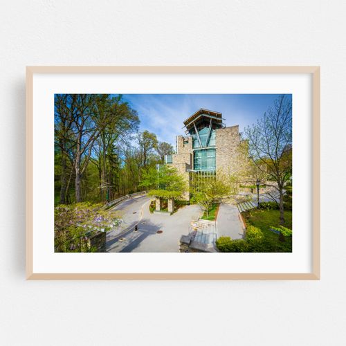 Loyola University