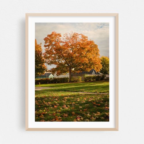 Autumn in Angola