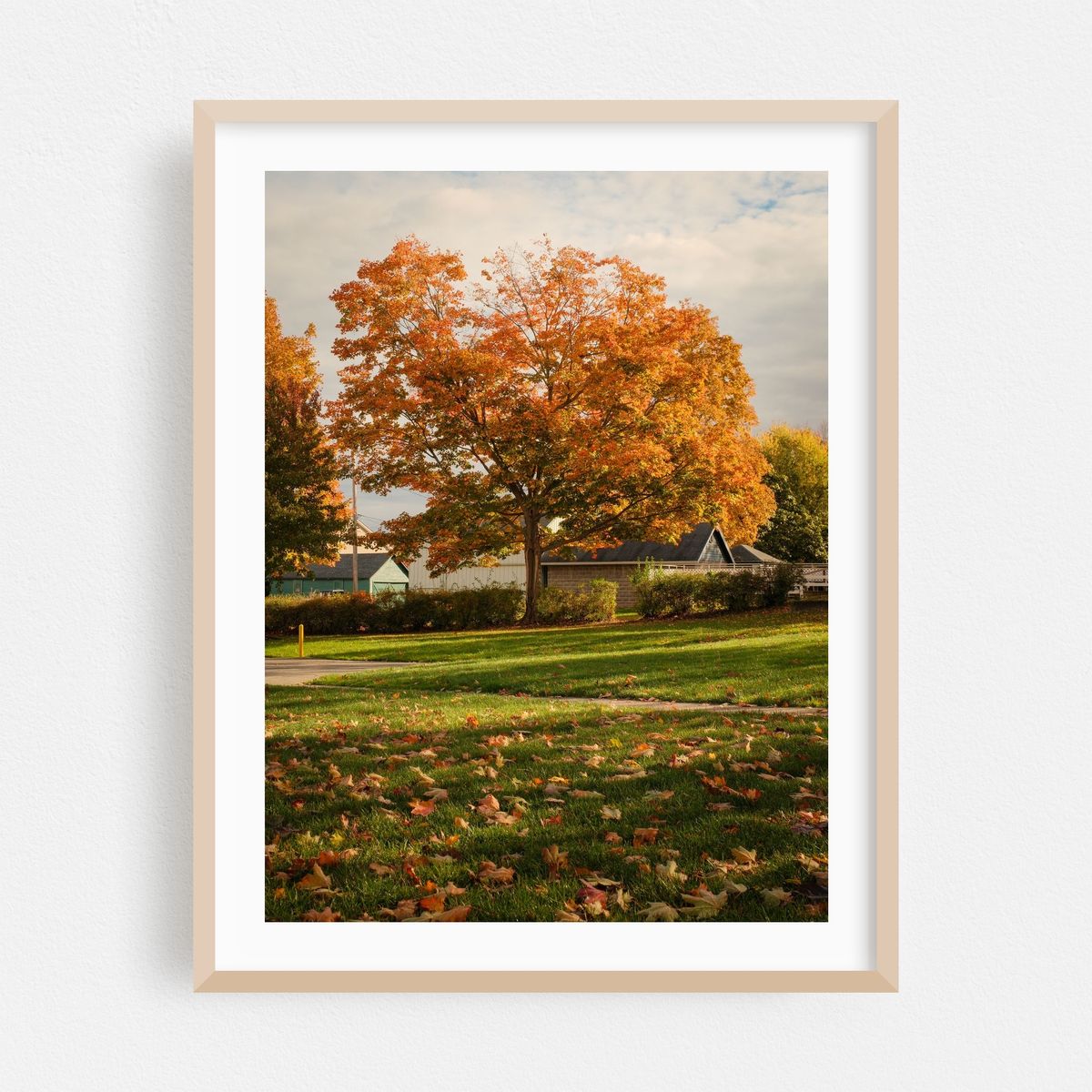 Autumn in Angola – image 1 of 3