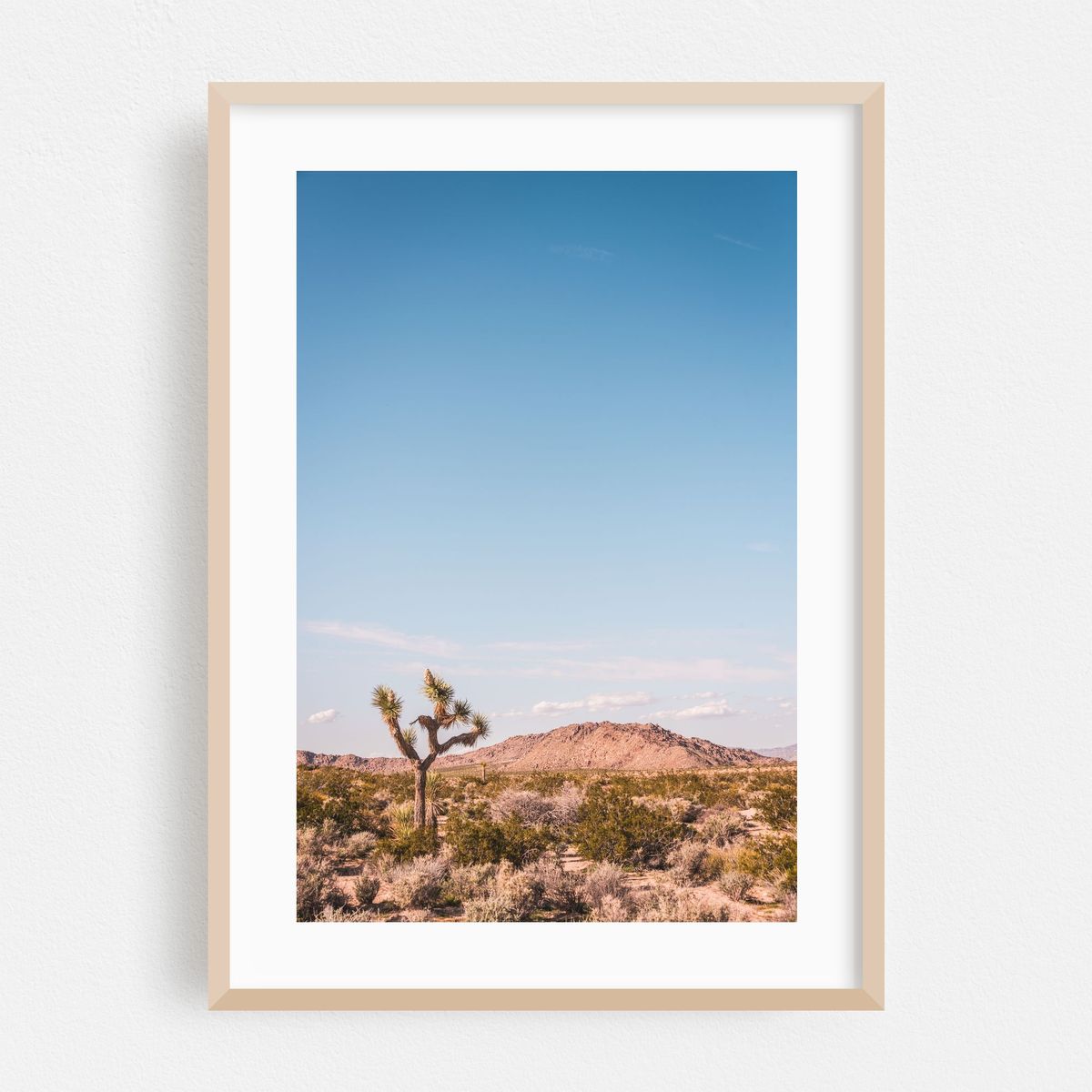 The Desert – image 1 of 16