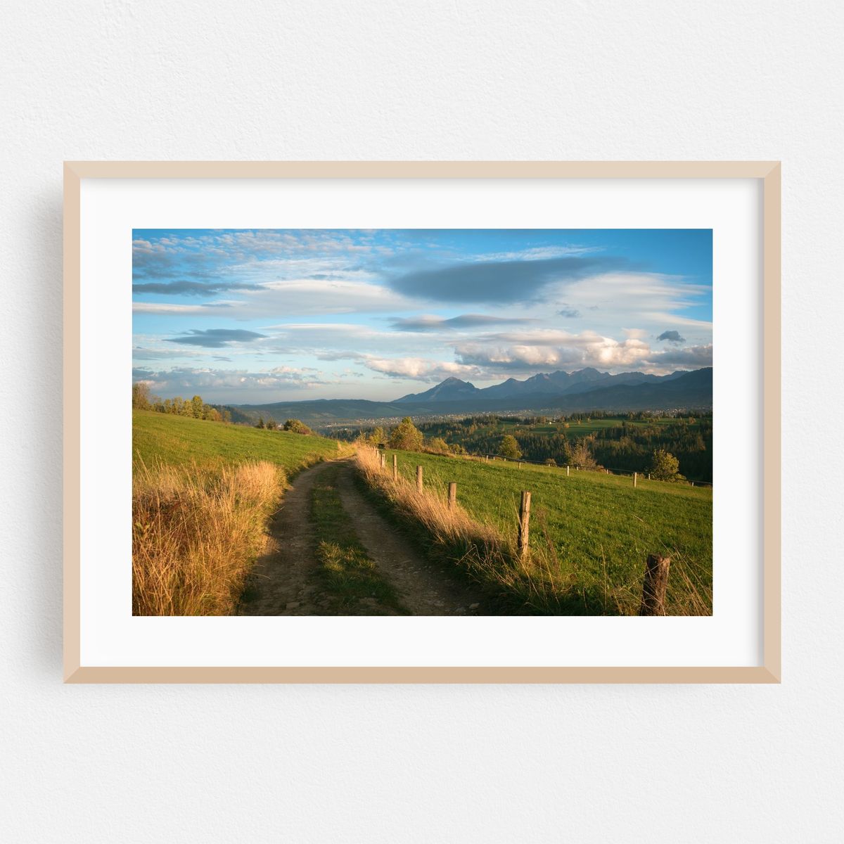 Farm Road, Ząb 02 – image 1 of 6
