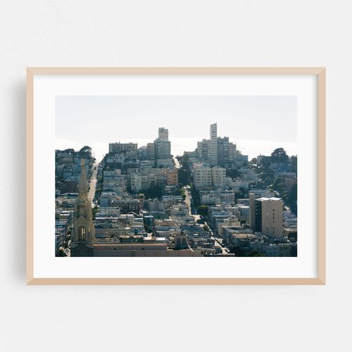 From Pioneer Park, San Francisco 04