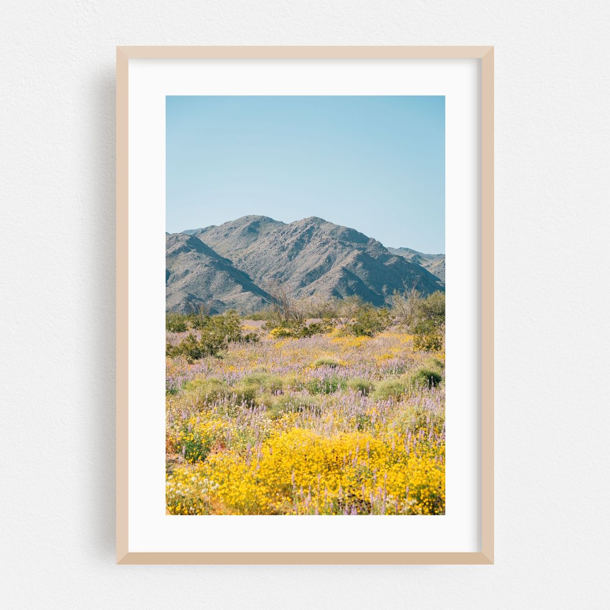 Superbloom, Joshua Tree – image 1 of 16