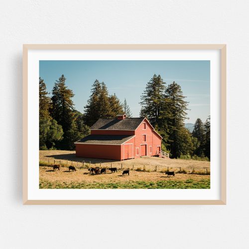 Red Barn, Woodside 01