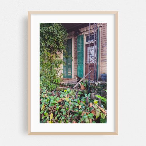 Porch Cat