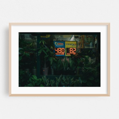 Lottery & Plants, Park Slope