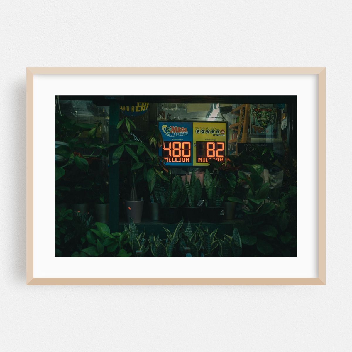 Lottery & Plants, Park Slope – image 1 of 6