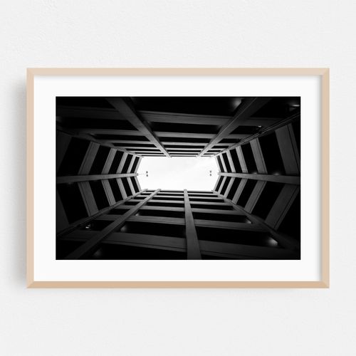 Looking Up B&W