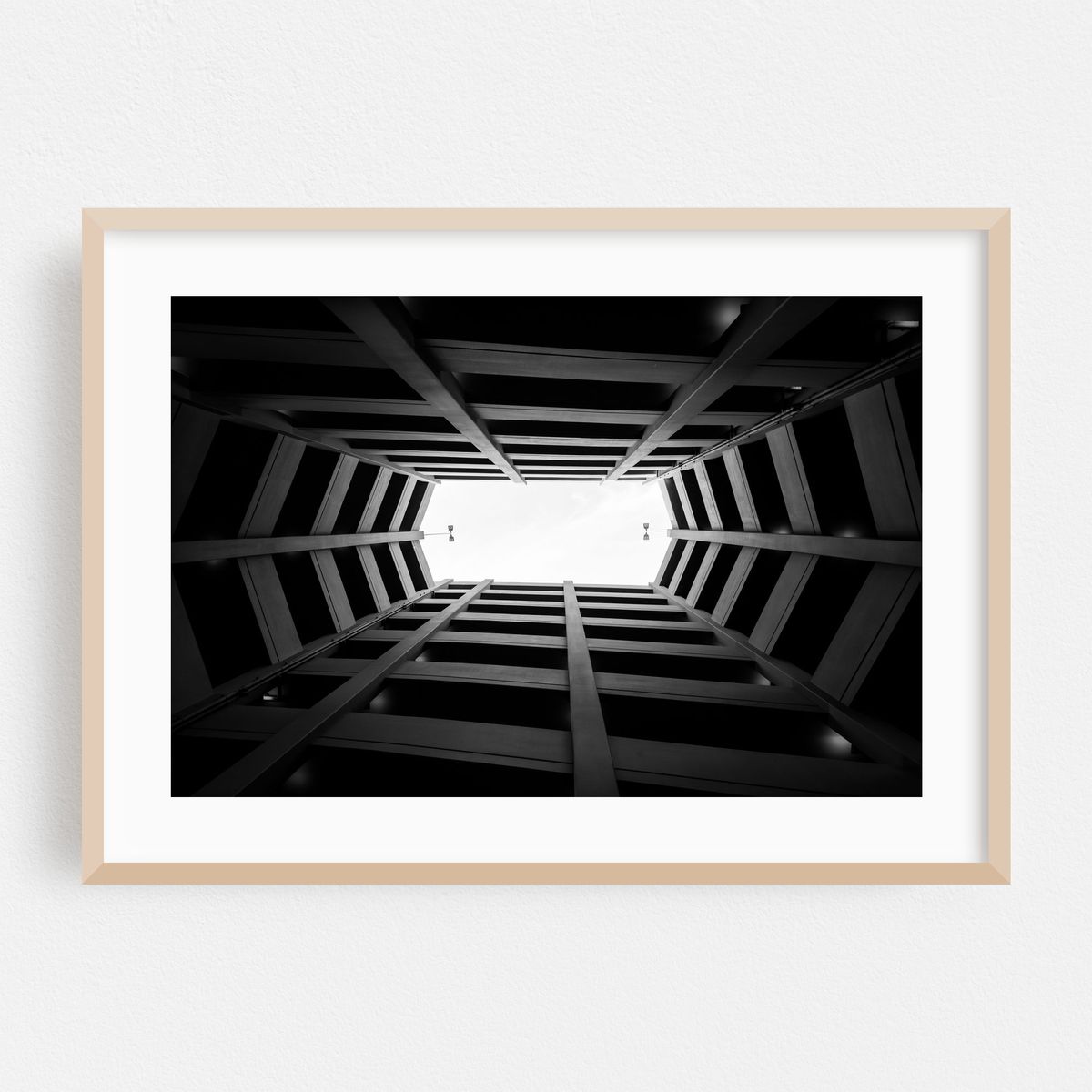 Looking Up B&W – image 1 of 6