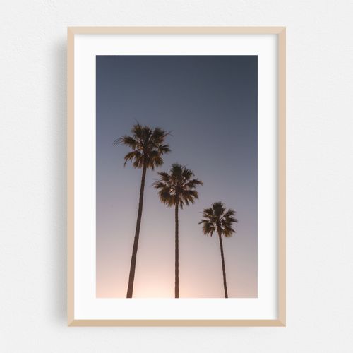Palms, Dana Point