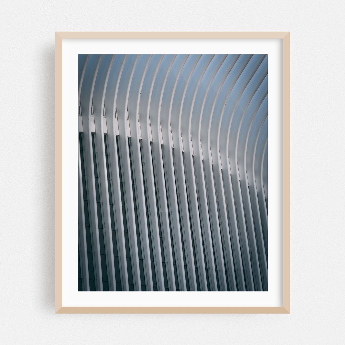 Oculus 14 – image 1 of 16