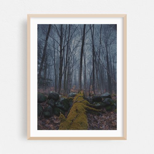 Whispers in the Fog
