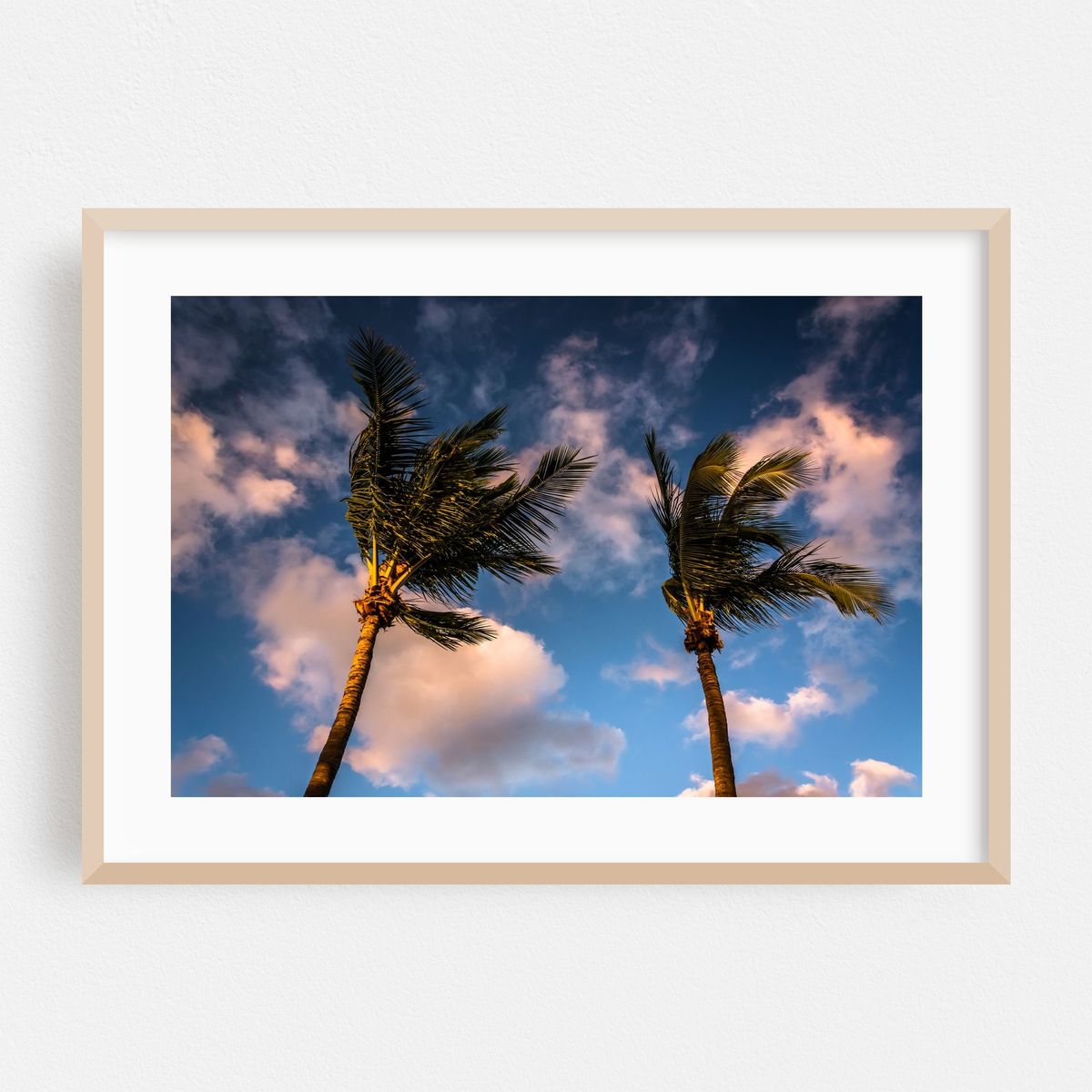 Naples Palms – image 1 of 6