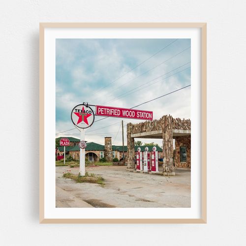 Petrified Wood Station 02
