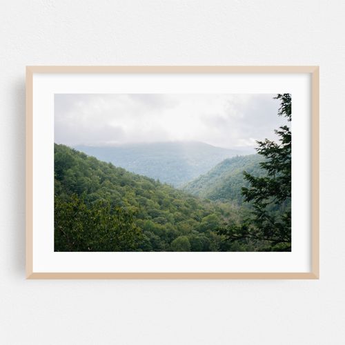 The Catskills