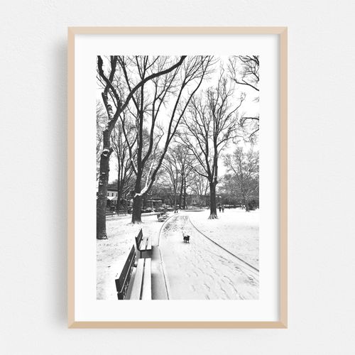 Snowy Winter Path