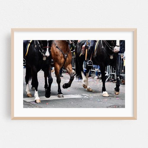 Horses in a Parade