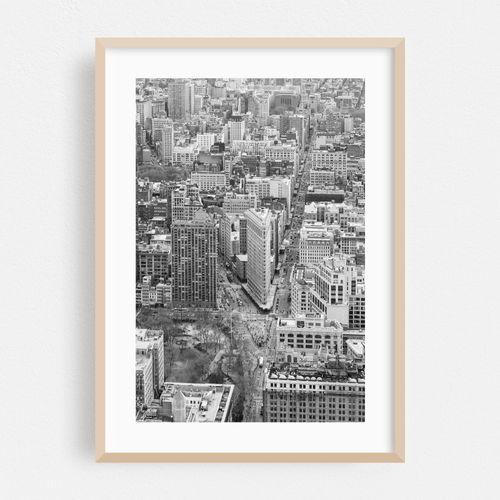 Bird's Eye Flatiron B&W