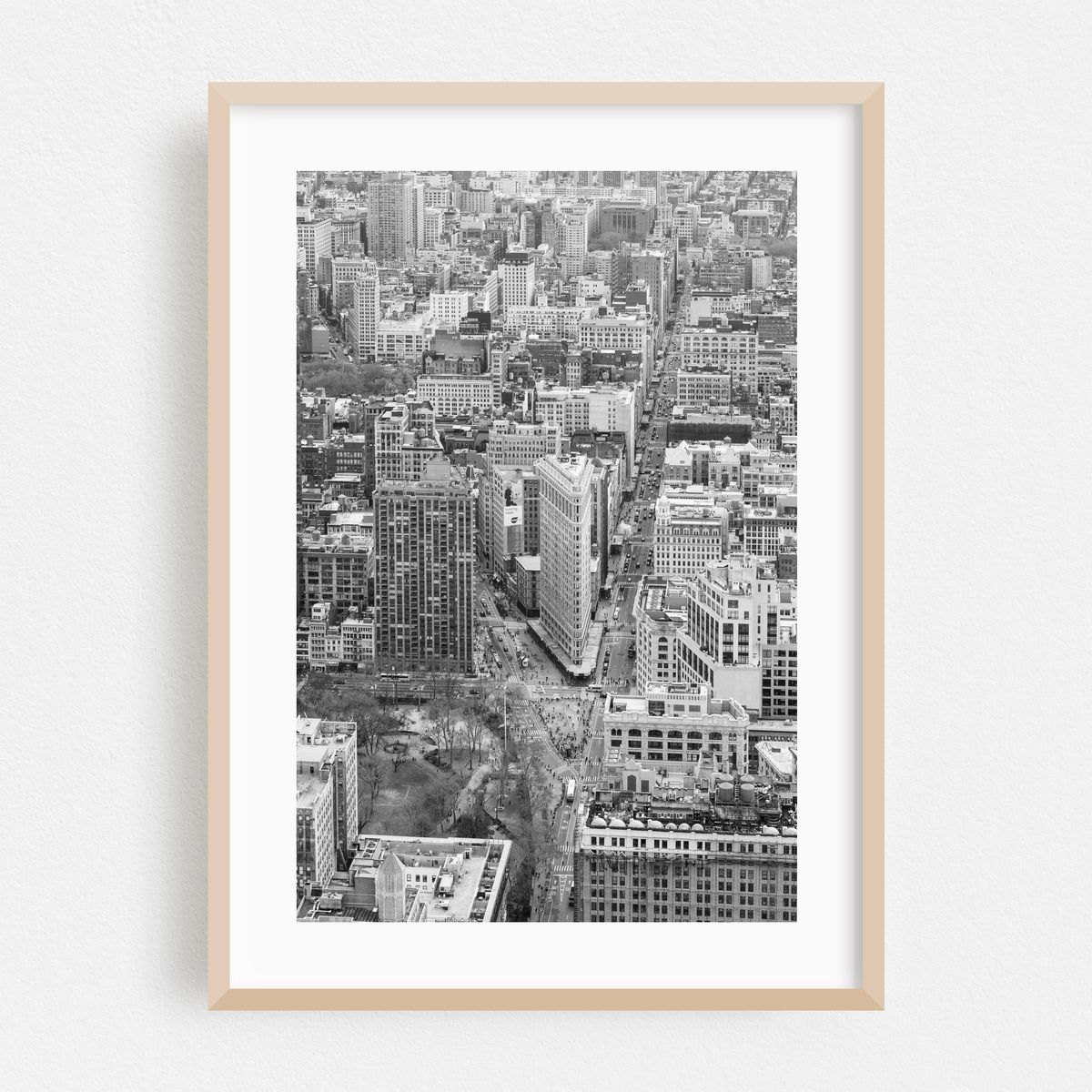 Bird's Eye Flatiron B&W – image 1 of 16