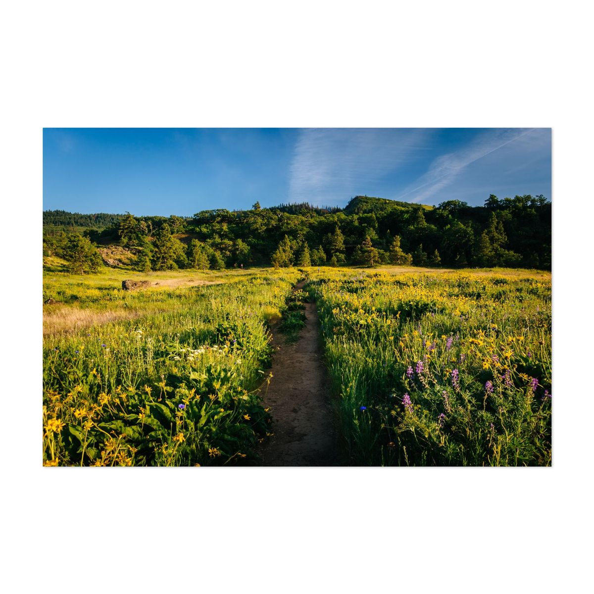 Tom McCall Nature Preserve – image 1 of 2