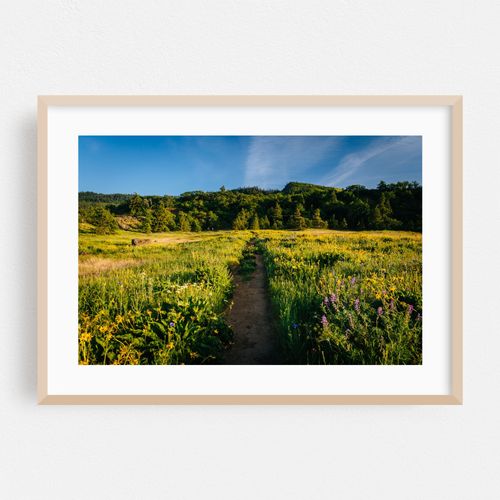 Tom McCall Nature Preserve