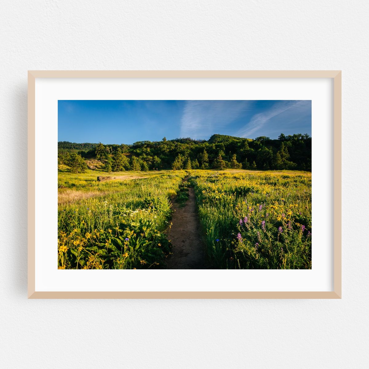 Tom McCall Nature Preserve – image 1 of 6